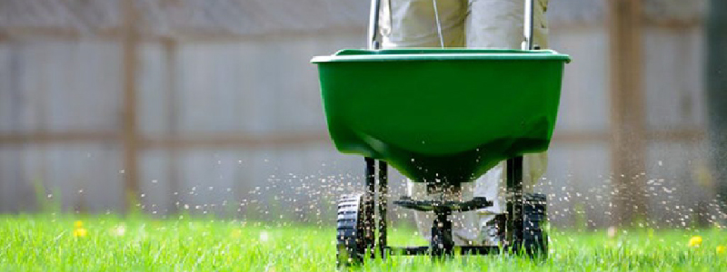 A broadcast spreader being used for fall lawn care.