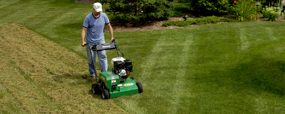 A man using a dethatcher on his lawn
