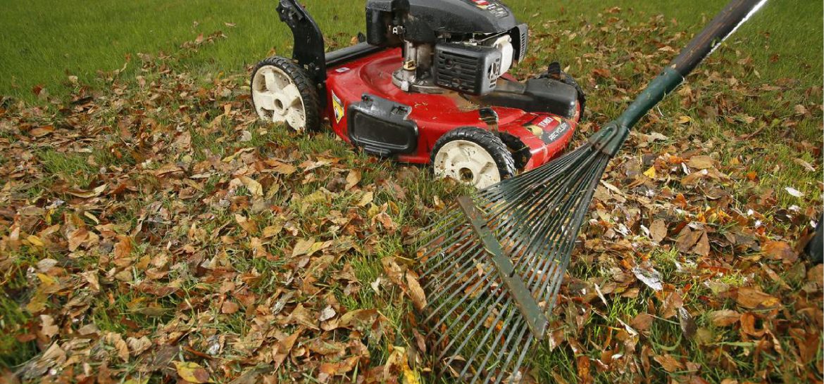 Rake or Mulch. an image of both a mower an a rake in a pile of leave
